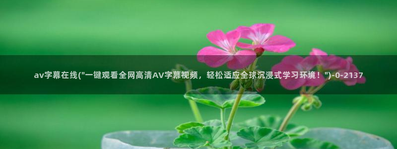 有没有av网站