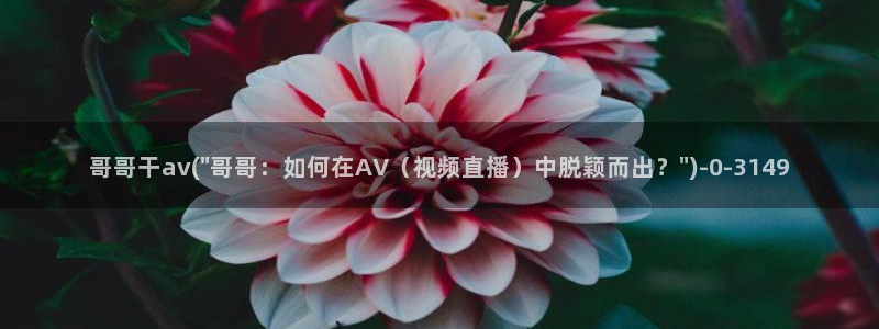 国产免费在线av