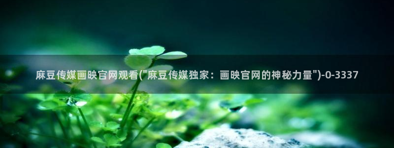 麻豆 资源更新：麻豆传媒画映官网观看(\