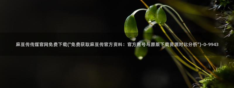 麻豆视频系列高清：麻豆传传媒官网免费下载(\