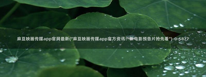麻豆视频 内容资源：麻豆映画传媒app官网最新(\