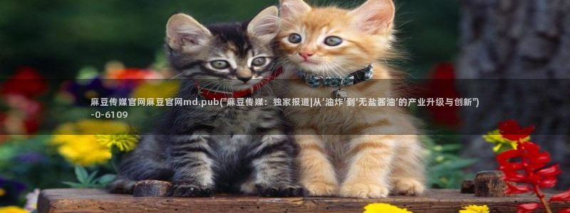麻豆 下载在线看：麻豆传媒官网麻豆官网md.pu