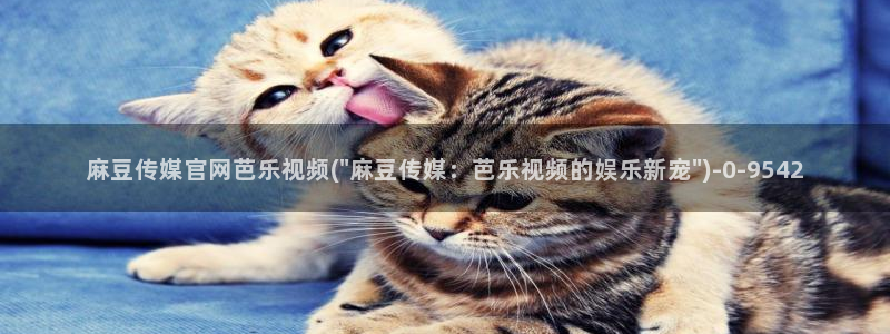 麻豆视频 系列高清：麻豆传媒官网芭乐视频(\