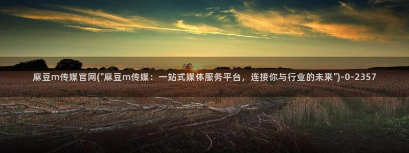 麻豆 最新高清：麻豆m传媒官网(\