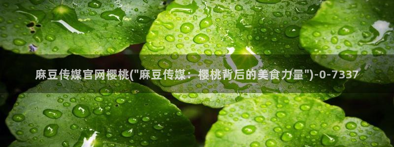 麻豆视频 精选视频：麻豆传媒官网樱桃(\