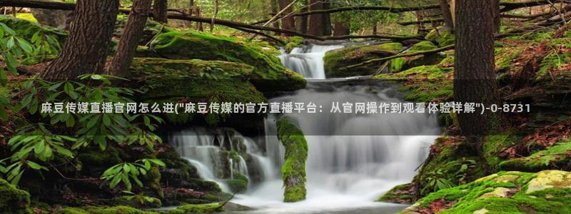 麻豆在线看资源：麻豆传媒直播官网怎么进(\