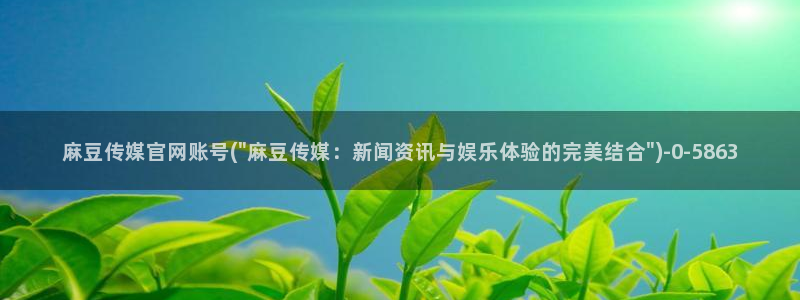 麻豆视频高清导航：麻豆传媒官网账号(\