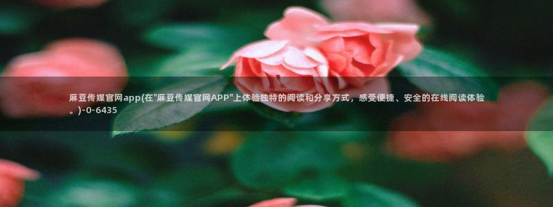 麻豆视频 推荐入口：麻豆传媒官网app(在\