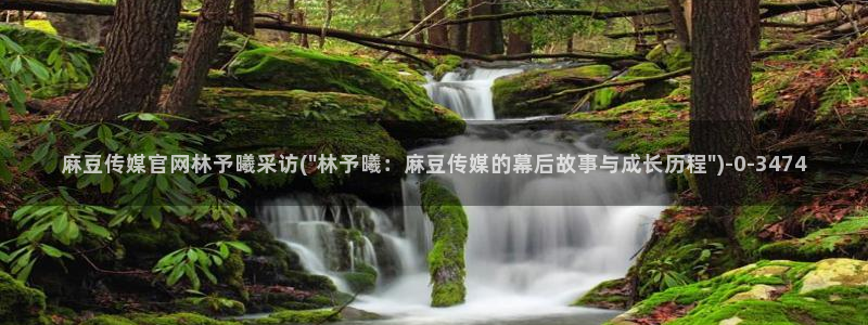 麻豆视频 热门专区：麻豆传媒官网林予曦采访(\