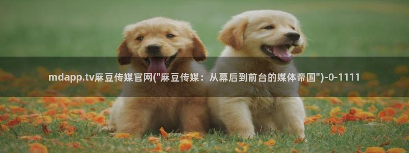 麻豆资源页面：mdapp.tv麻豆传媒官网(\