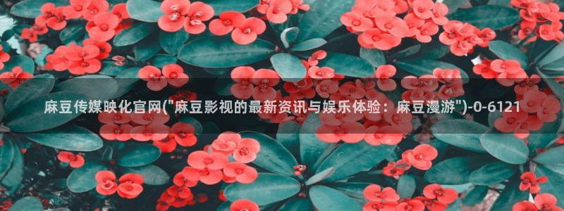 麻豆视频合集页面：麻豆传媒映化官网(\