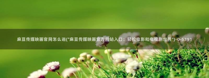 麻豆视频站专区
