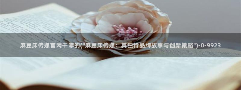 麻豆 精选