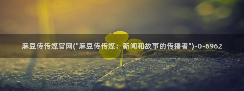 麻豆 专区：麻豆传传媒官网(\