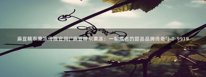 麻豆 入口入口