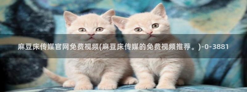 麻豆视频 下载完整版