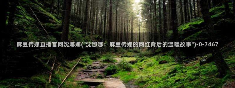 麻豆视频 热门导航