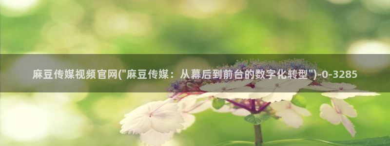 麻豆官方合集：麻豆传媒视频官网(\