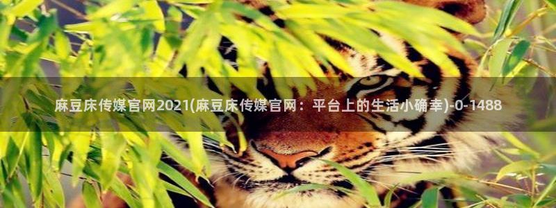 麻豆视频 更新下载