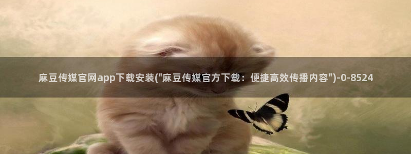 麻豆视频 最新入口