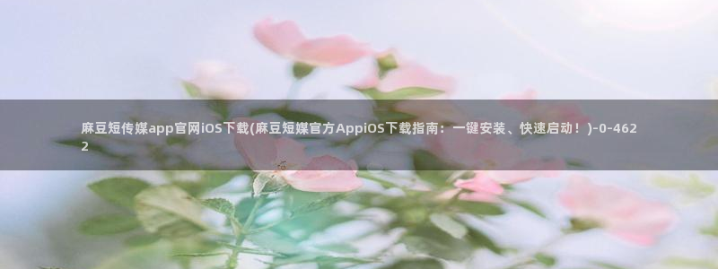 麻豆 下载入口