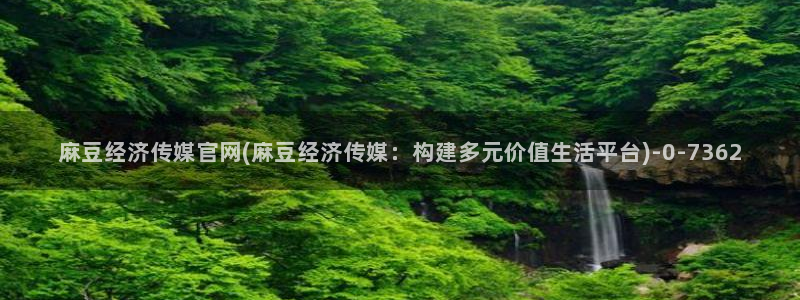 麻豆视频专区最新