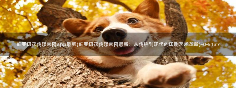 麻豆 官方更新：麻豆印花传媒官网app最新(麻豆